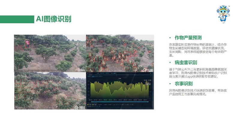 一品一码农产品溯源系统 一品一码农产品溯源系统
